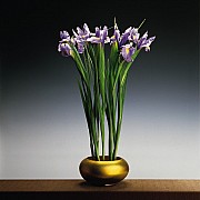 mapplethorpe irises 1988 3 color