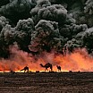 steve mc curry camels smoke fire gulf war al ahmadi kuwait 1991