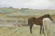 Edgar degas cavalli in un prato 1871