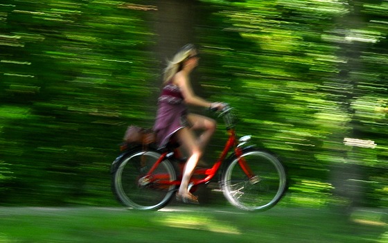 In bicicletta nel verde