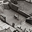 martin munkacsi carrozzina sul tetto anni quaranta